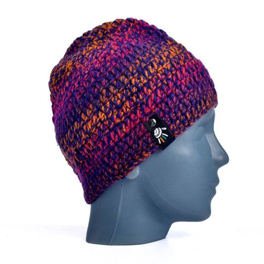 Regal Rainbow Multicolor Beanie