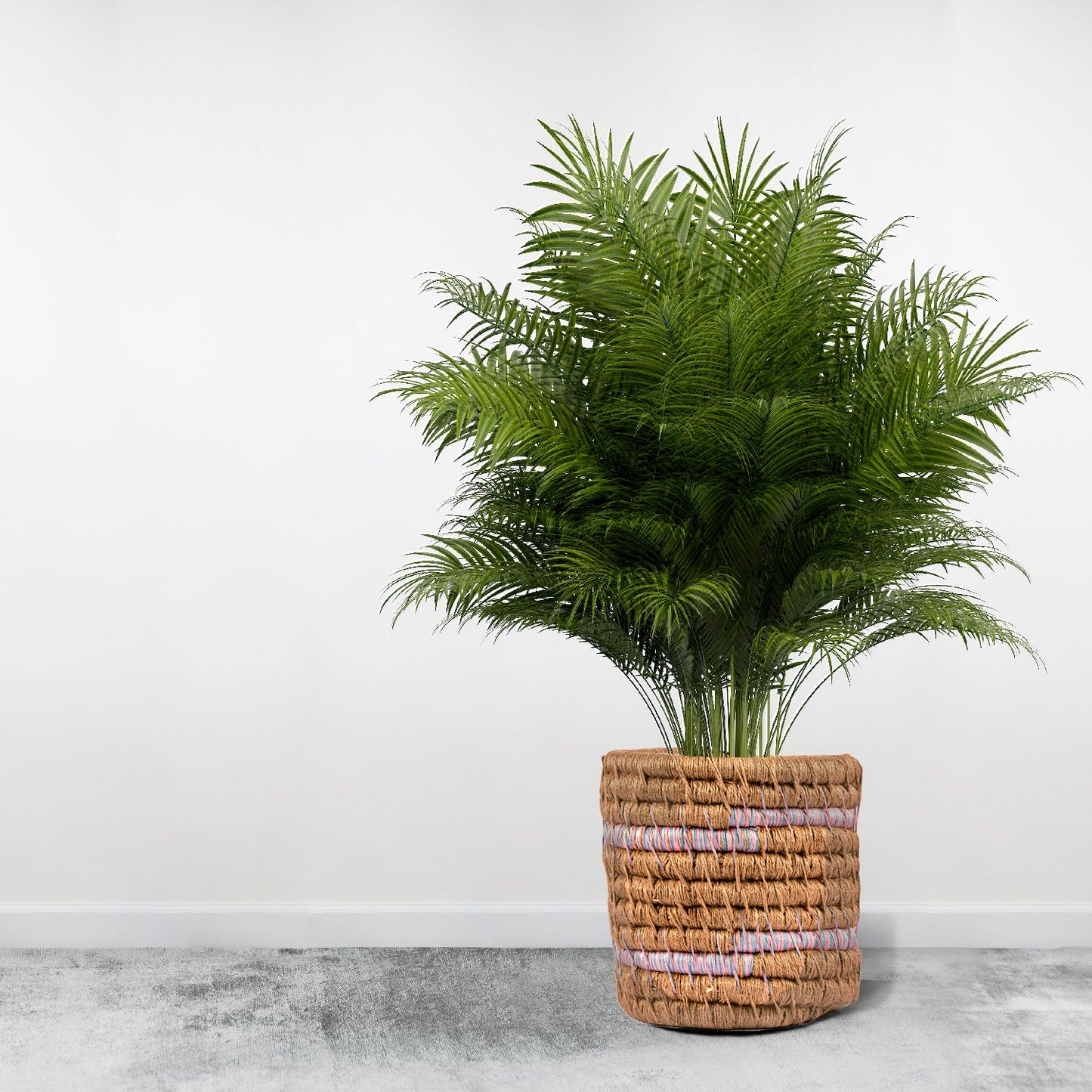 Eco-Chic Designer Plant Holder Happy Cultures