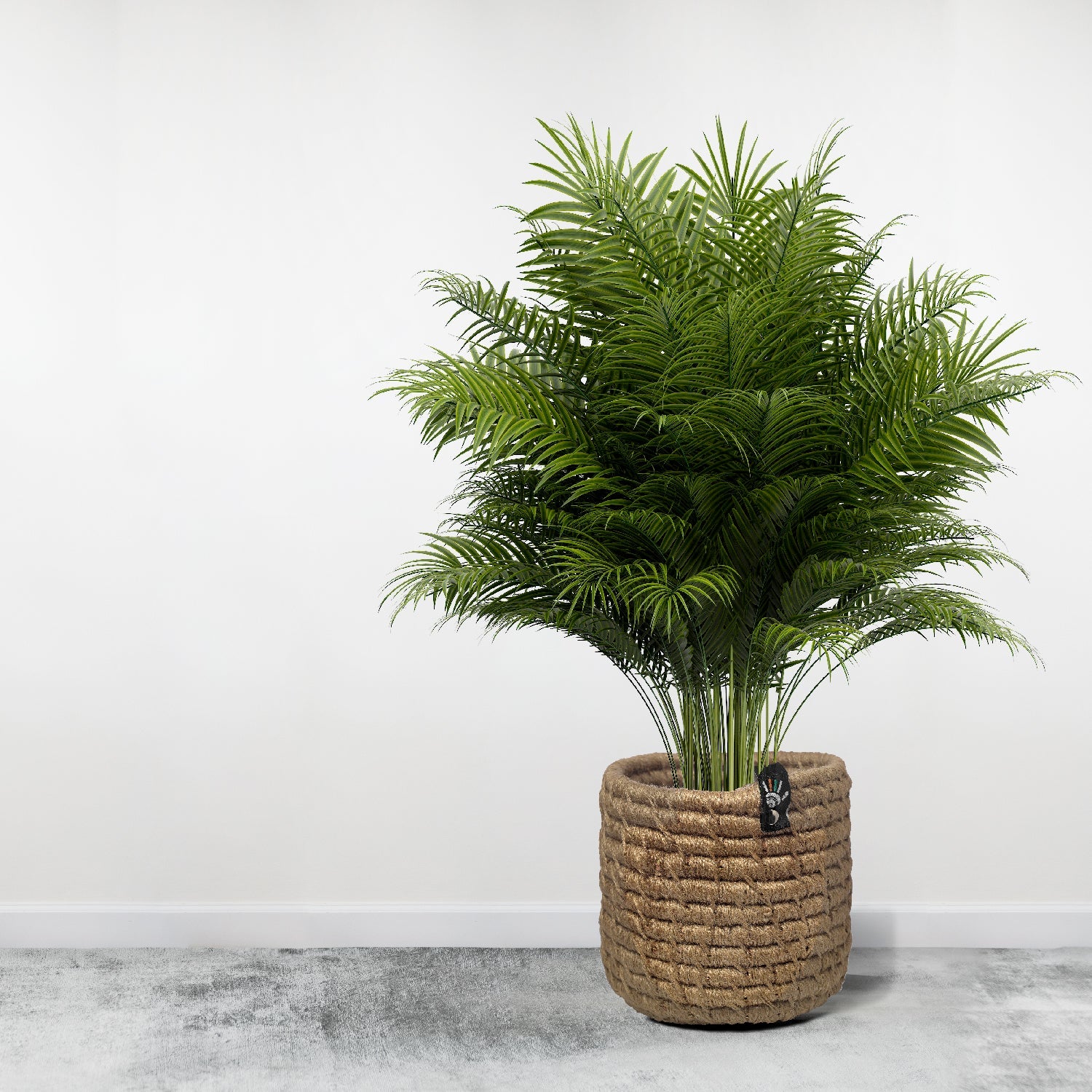Living Jute Plant Holder Happy Cultures