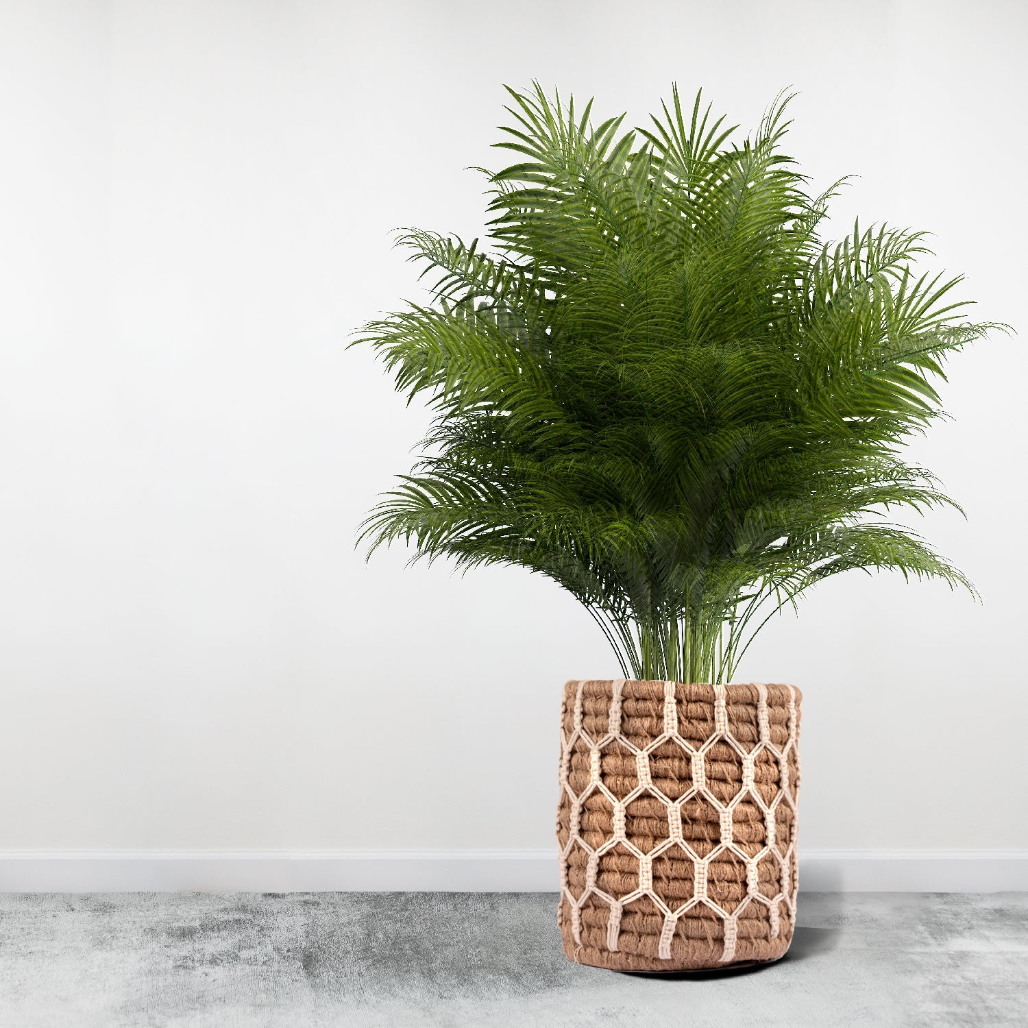 Nature-Inspired Macrame Plant Holder Happy Cultures